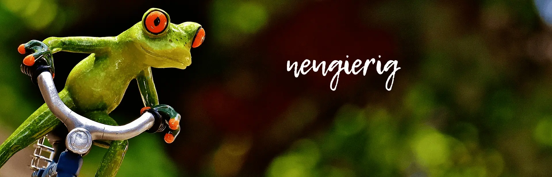Frosch-neugierig-Canva-Orig. Frosch neugierig