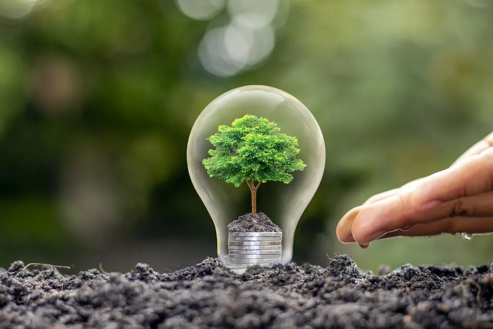 Etwas neues-vecteezy_the-tree-that-grows-on-a-pile-of-money-in-a-light-bulb-with-a-green-nature-blur-background-energy-saving-concept_1995582 Bild: Glühbirne mit wachsendem Bäumchen